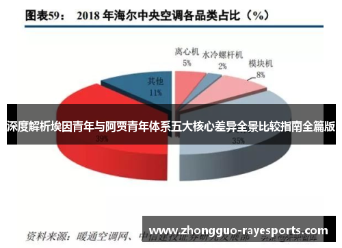 深度解析埃因青年与阿贾青年体系五大核心差异全景比较指南全篇版 深度解析埃因青年与阿贾青年体系五大核心差异全景比较指南全篇版